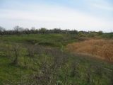 Image of landscape