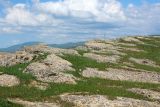 Image of landscape
