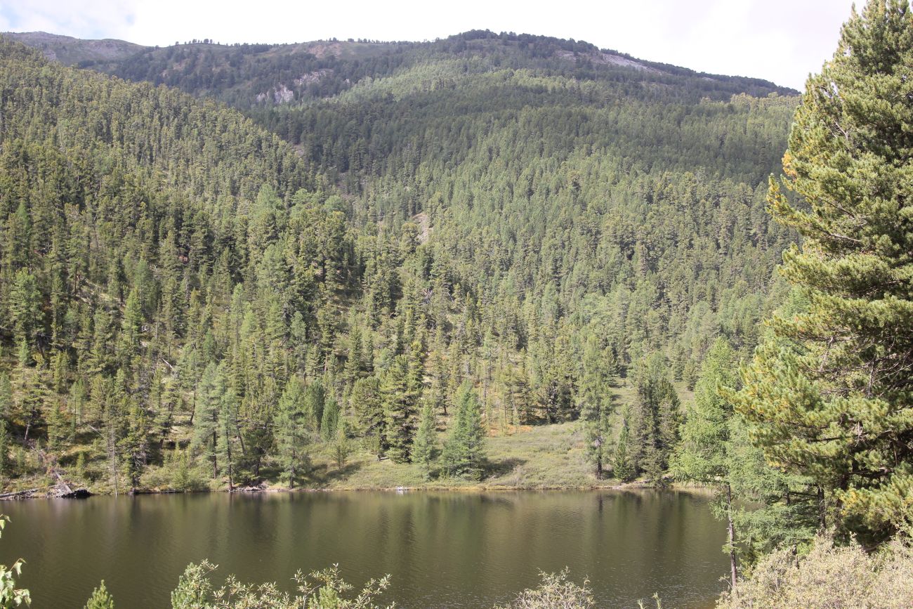 Озеро Чейбеккёль, image of landscape/habitat.