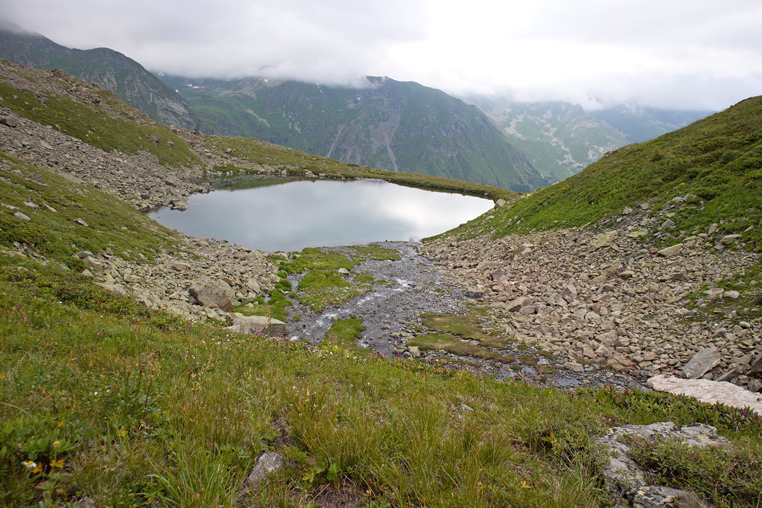 Проточное, image of landscape/habitat.