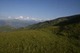 Image of landscape