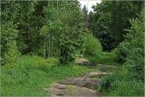Image of landscape