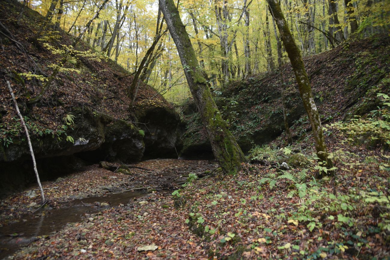 Окрестности устья ручья Толмач, изображение ландшафта.