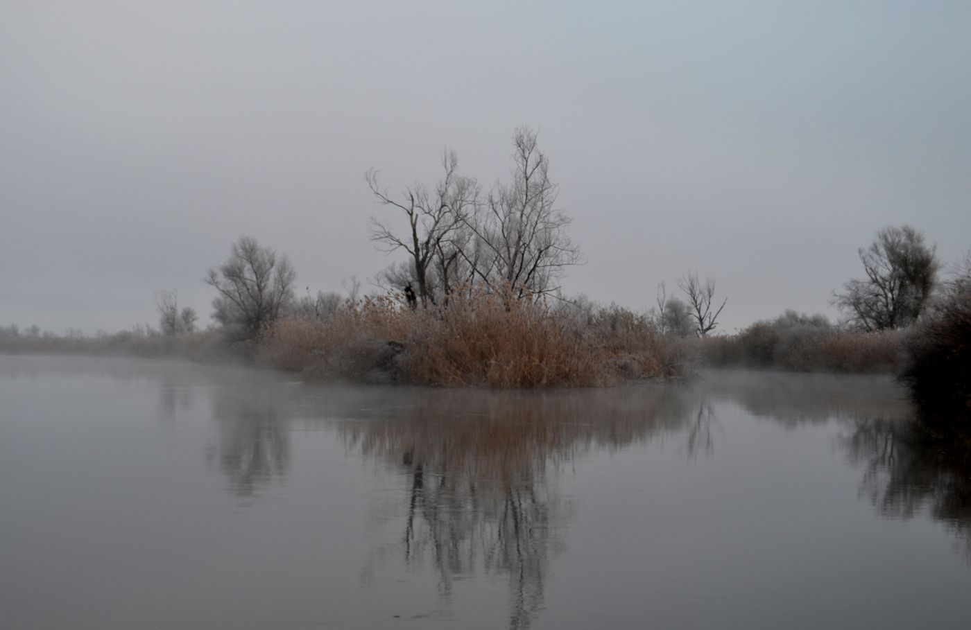 Дельта (нижняя зона), image of landscape/habitat.