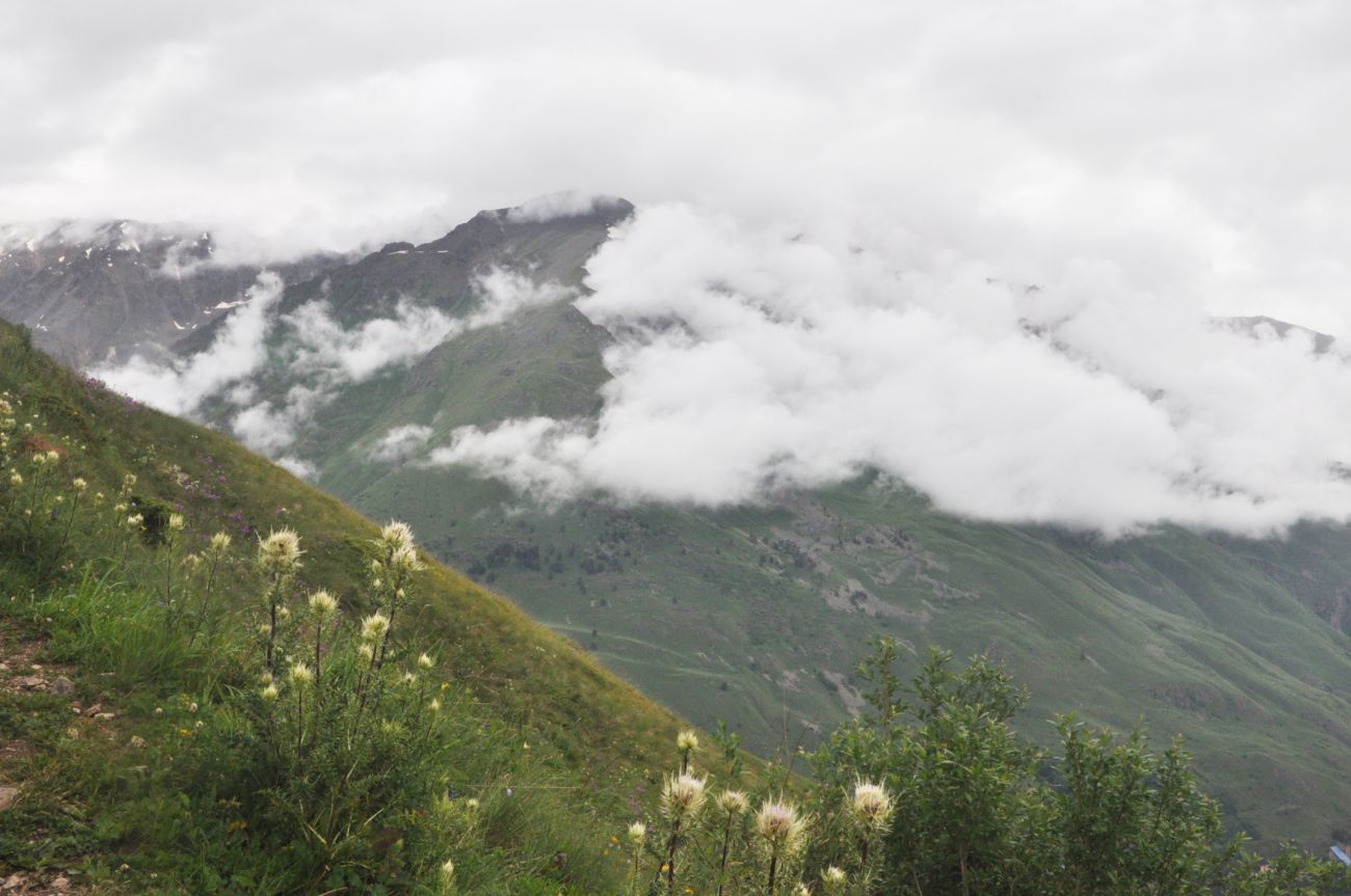Восточный склон горы Чегет, изображение ландшафта.