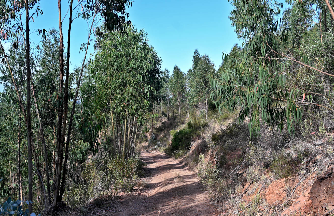 Долина реки Мира, image of landscape/habitat.