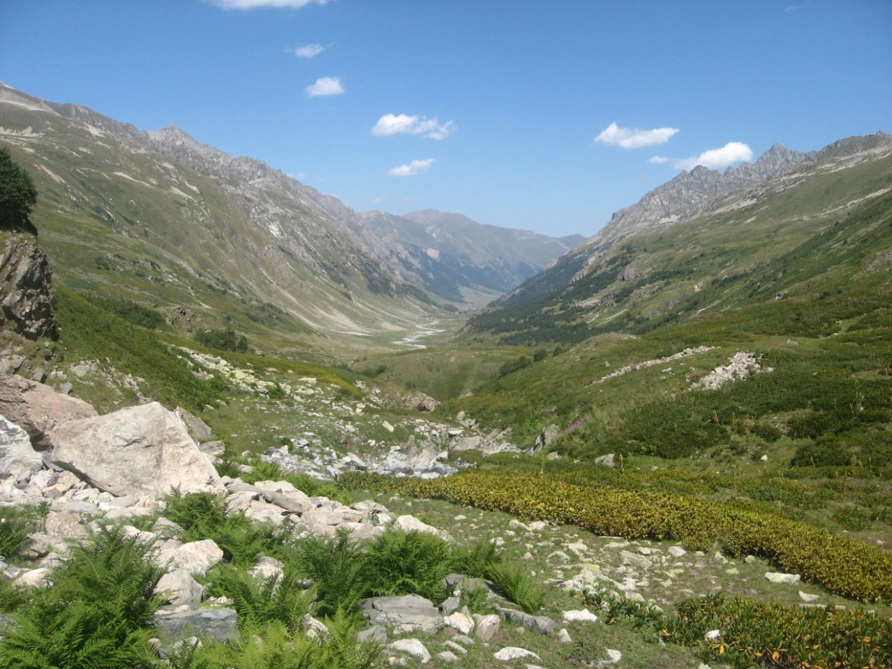 Долина реки Маруха, image of landscape/habitat.