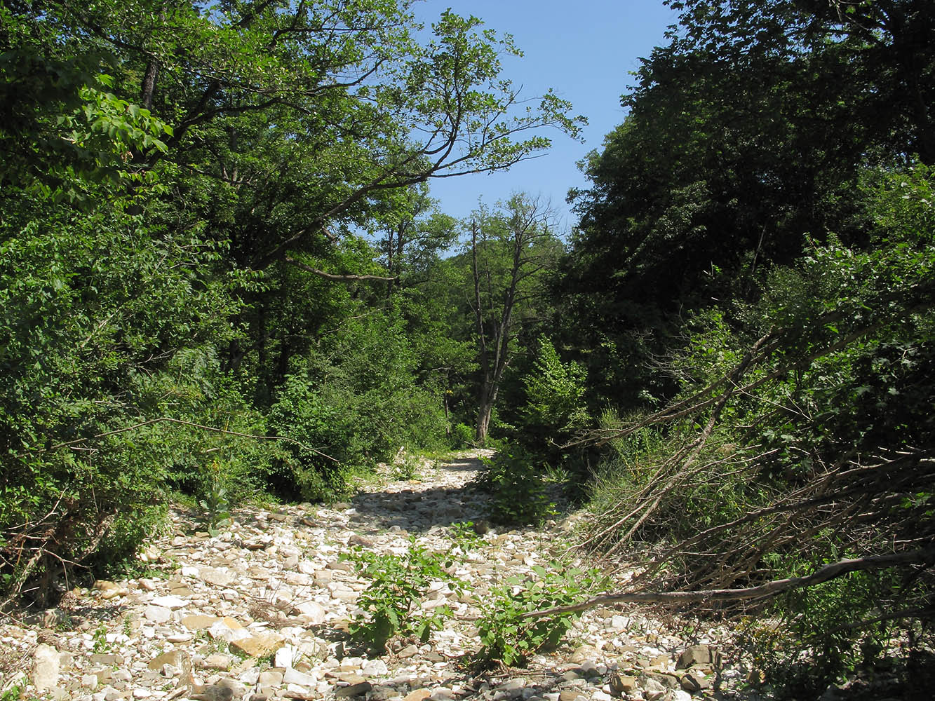 Капустная щель, image of landscape/habitat.