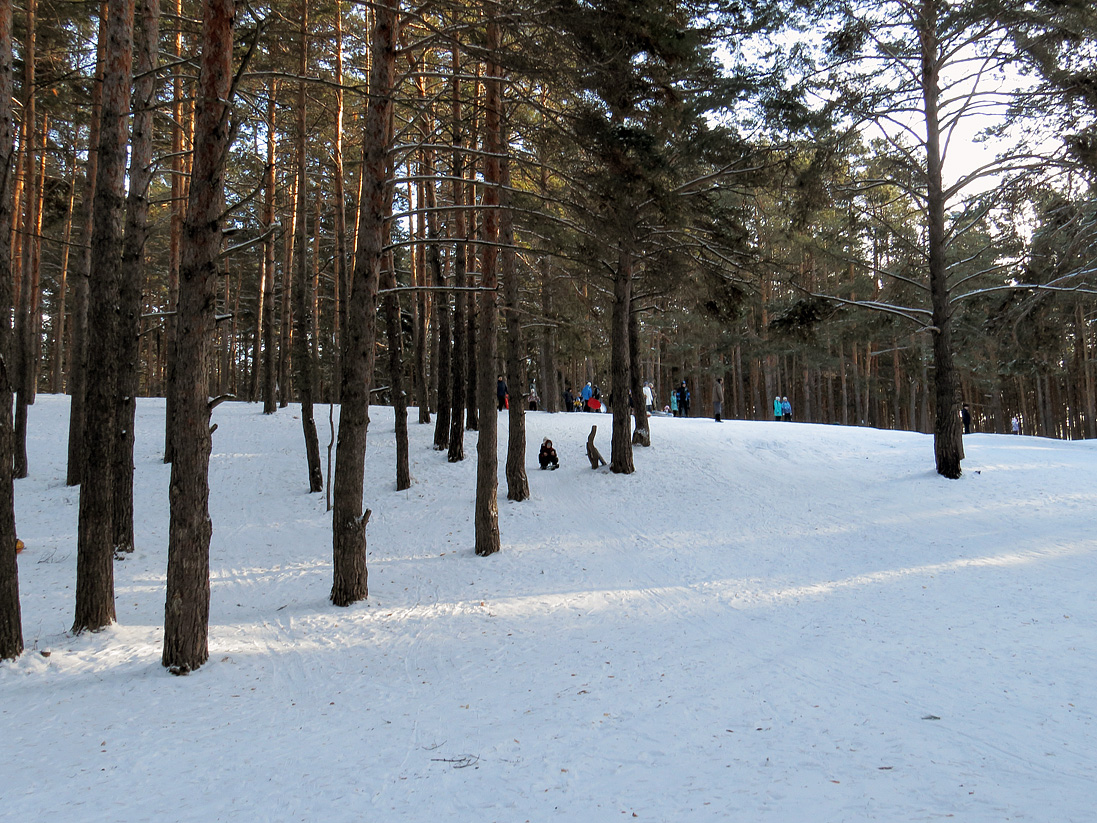 Верхняя Терраса и окрестности, image of landscape/habitat.