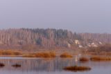 Landscape image