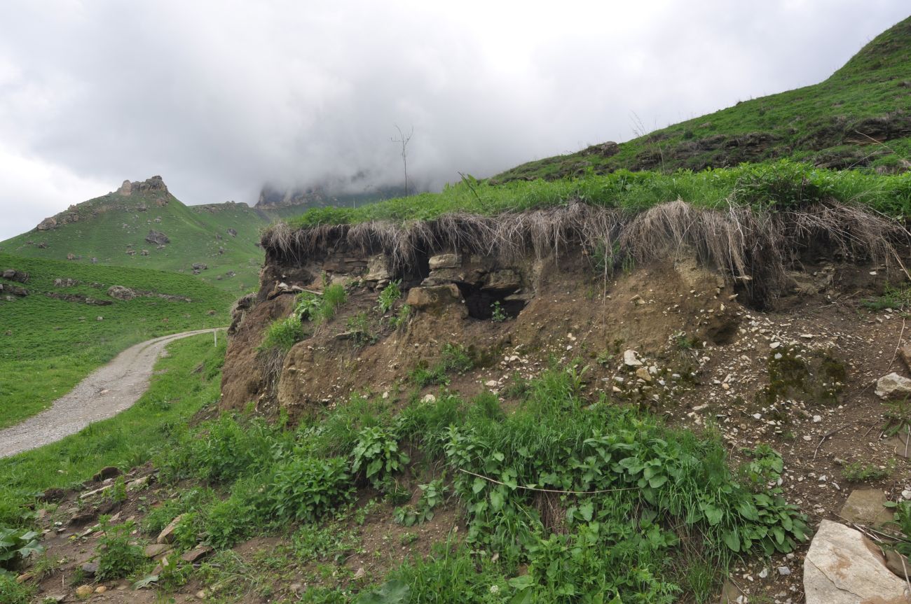 Окрестности скалы Арка, image of landscape/habitat.