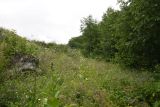 Image of landscape