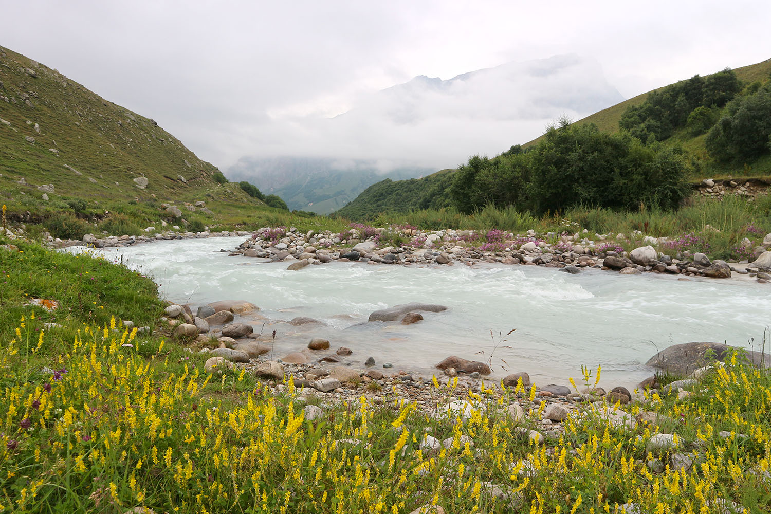 Луг в излучине Псыгансу, изображение ландшафта.