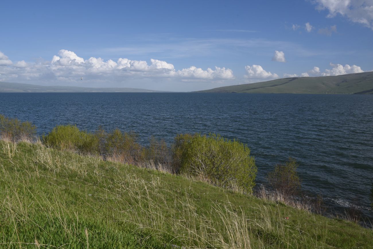 Озеро Чилдыр, image of landscape/habitat.