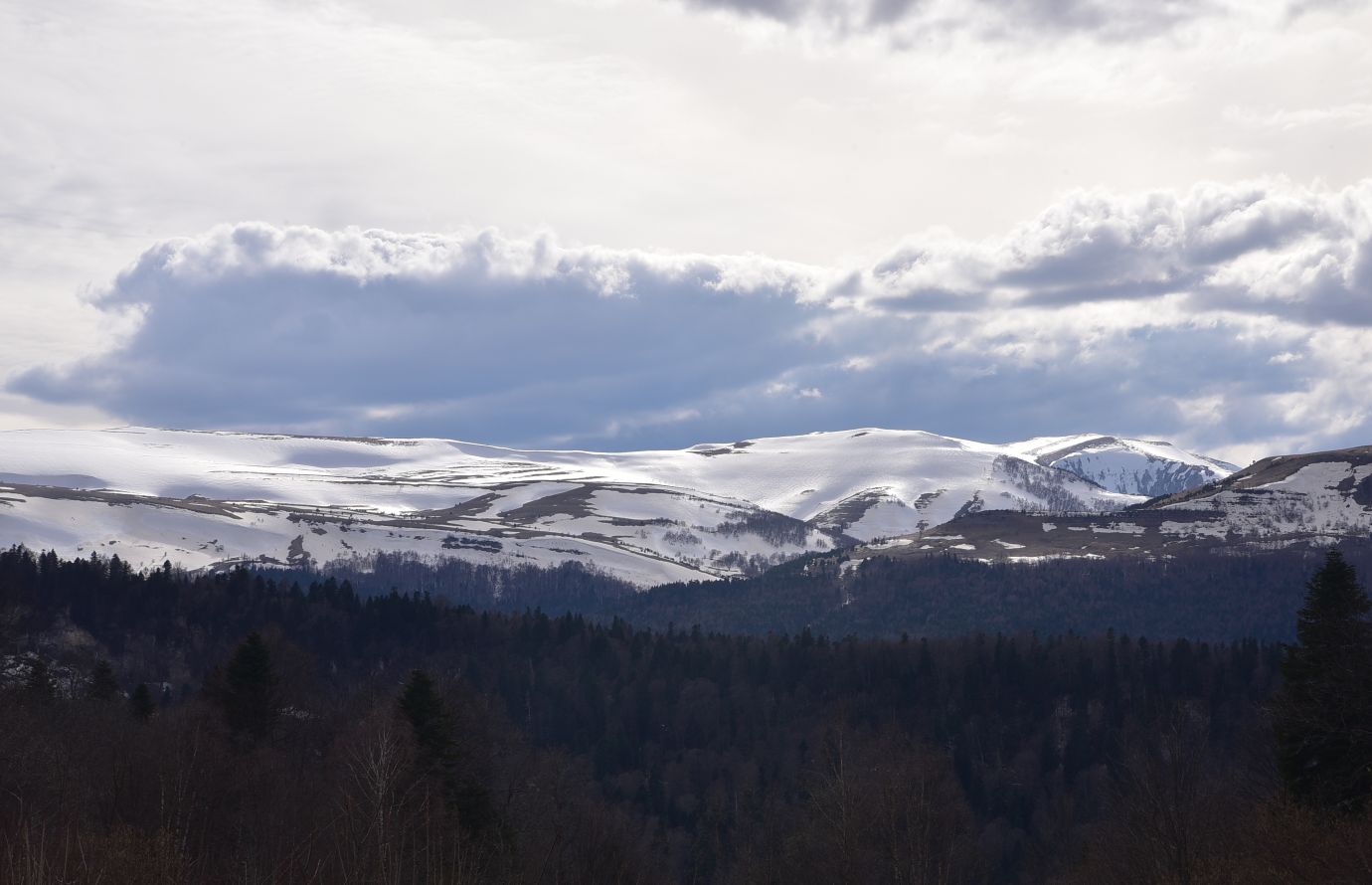 Плато Лагонаки, image of landscape/habitat.