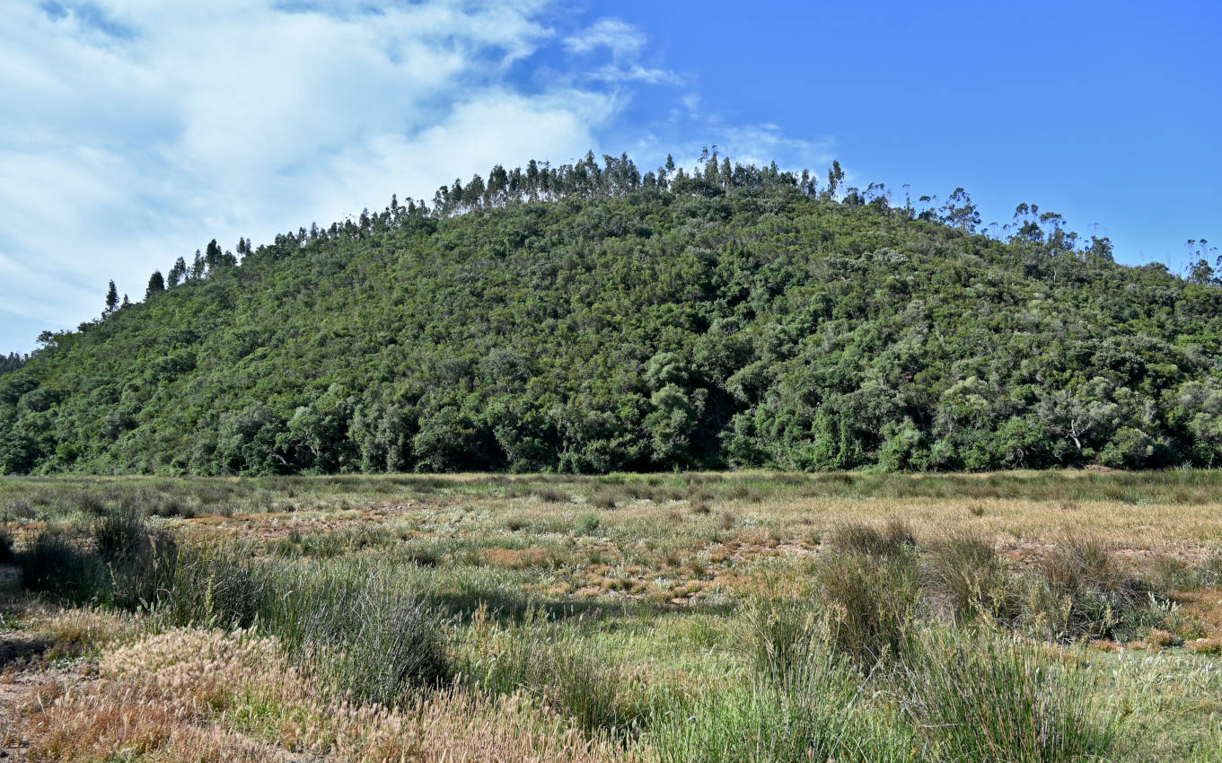 Долина реки Мира, image of landscape/habitat.