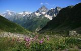 Image of landscape