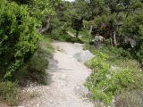 Image of landscape