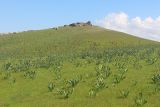 Image of landscape