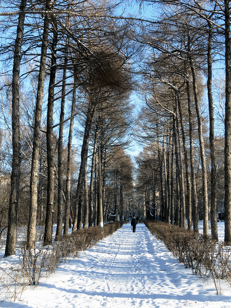 Верхняя Терраса и окрестности, изображение ландшафта.