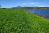 Image of landscape