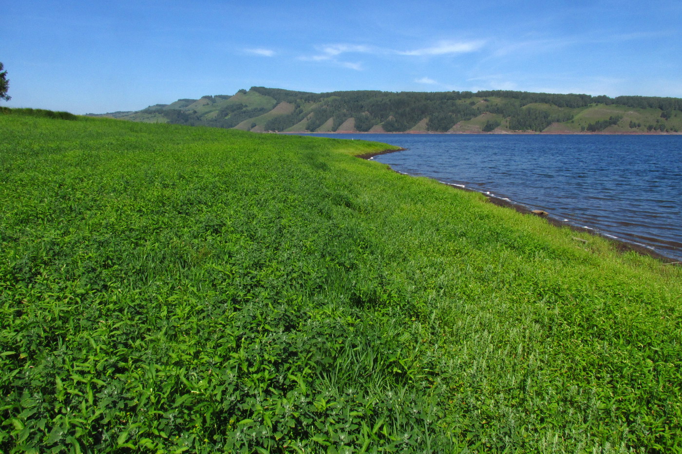 Убейский залив, image of landscape/habitat.