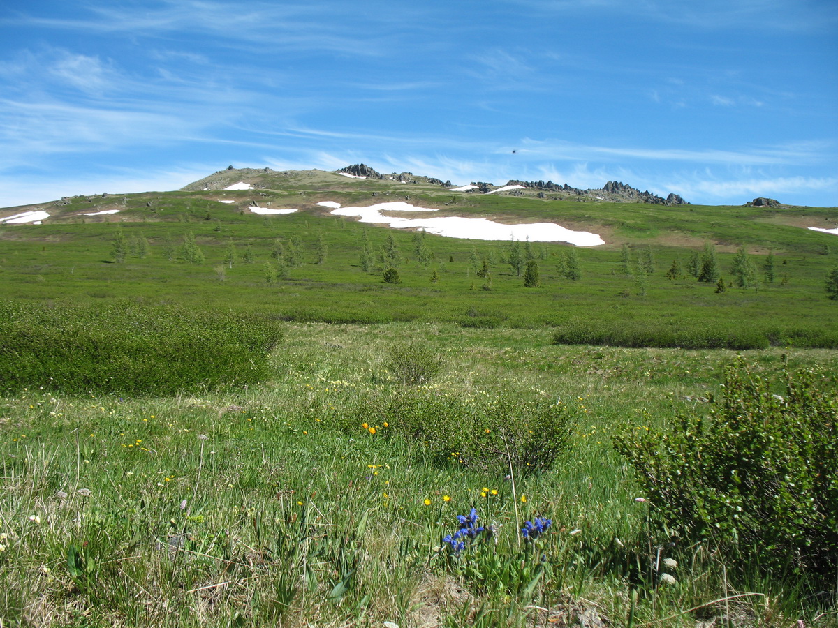 Перевал Бурхат, image of landscape/habitat.