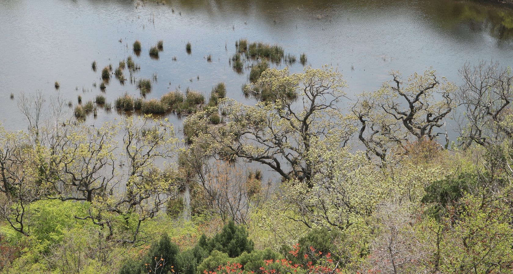 Гора Орёл, image of landscape/habitat.