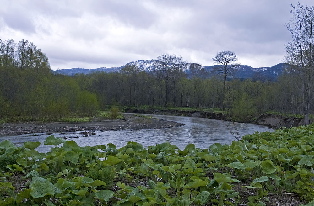 Ай, image of landscape/habitat.