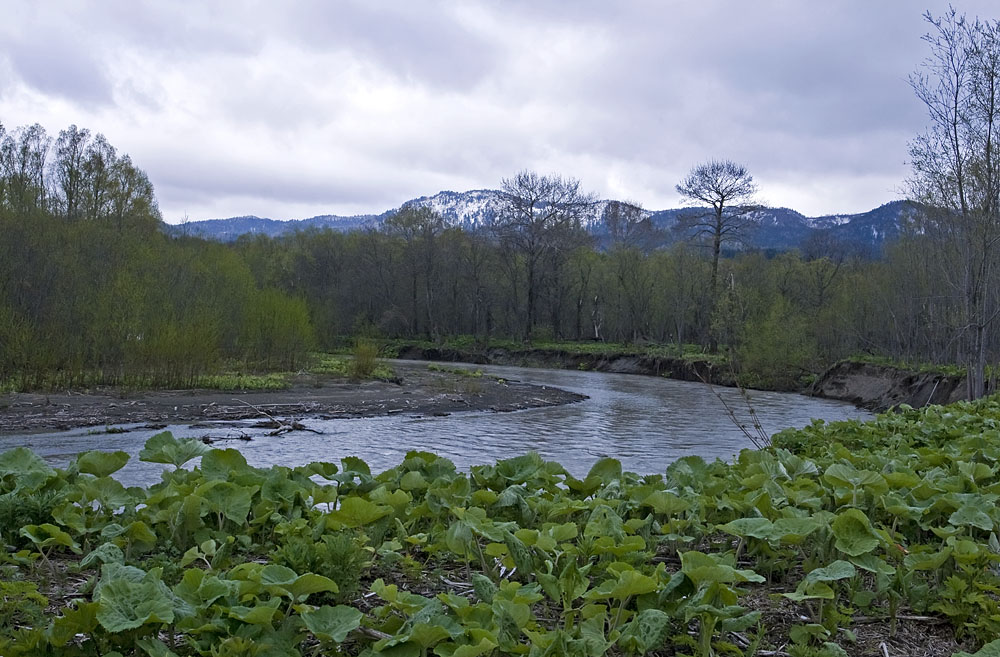 Ай, image of landscape/habitat.