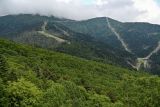 Image of landscape
