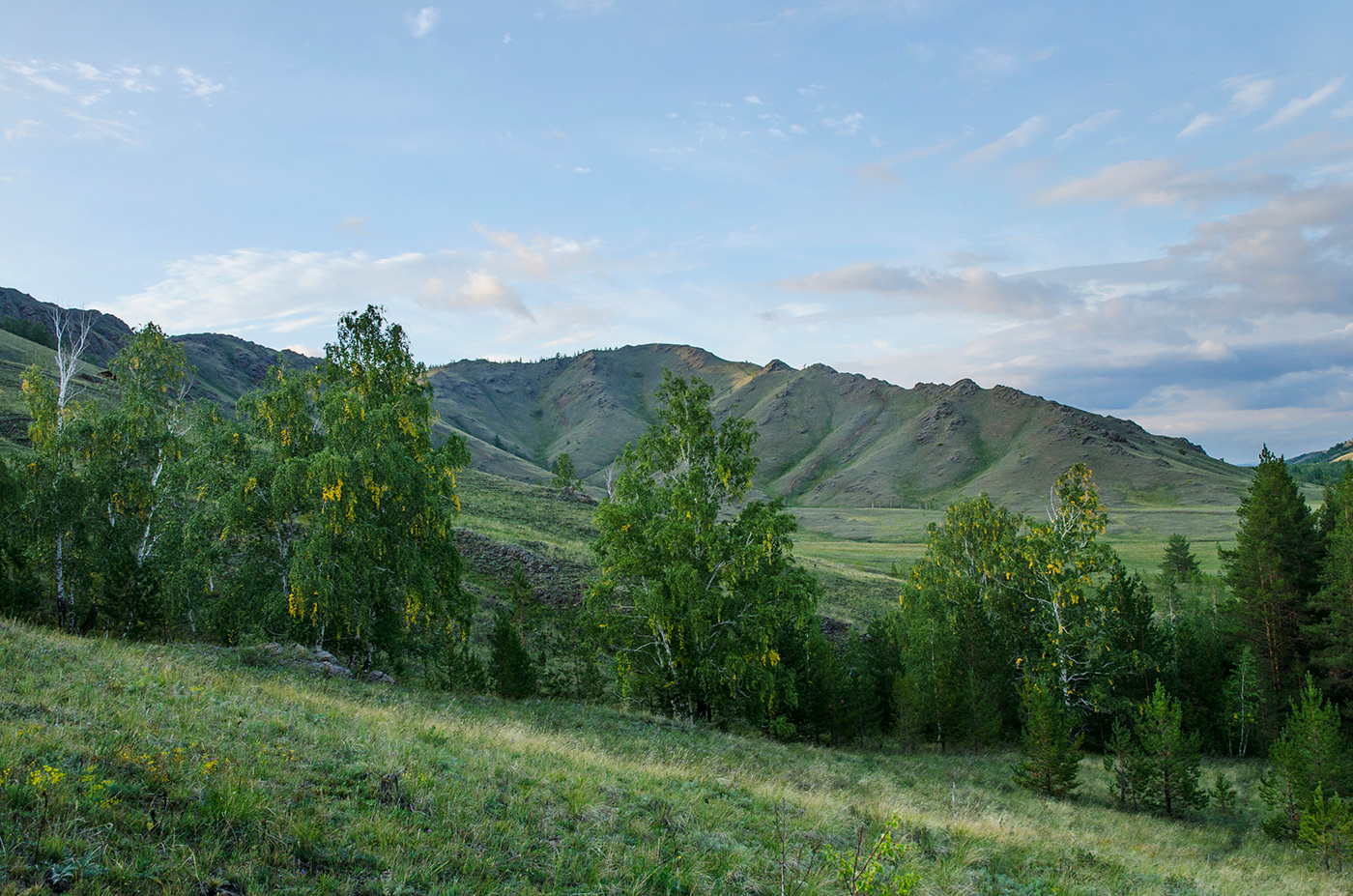 Яльчигулово и окрестности, изображение ландшафта.