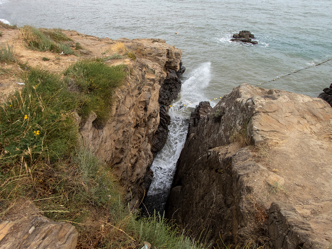 Малореченское и окрестности, image of landscape/habitat.