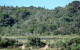 Image of landscape
