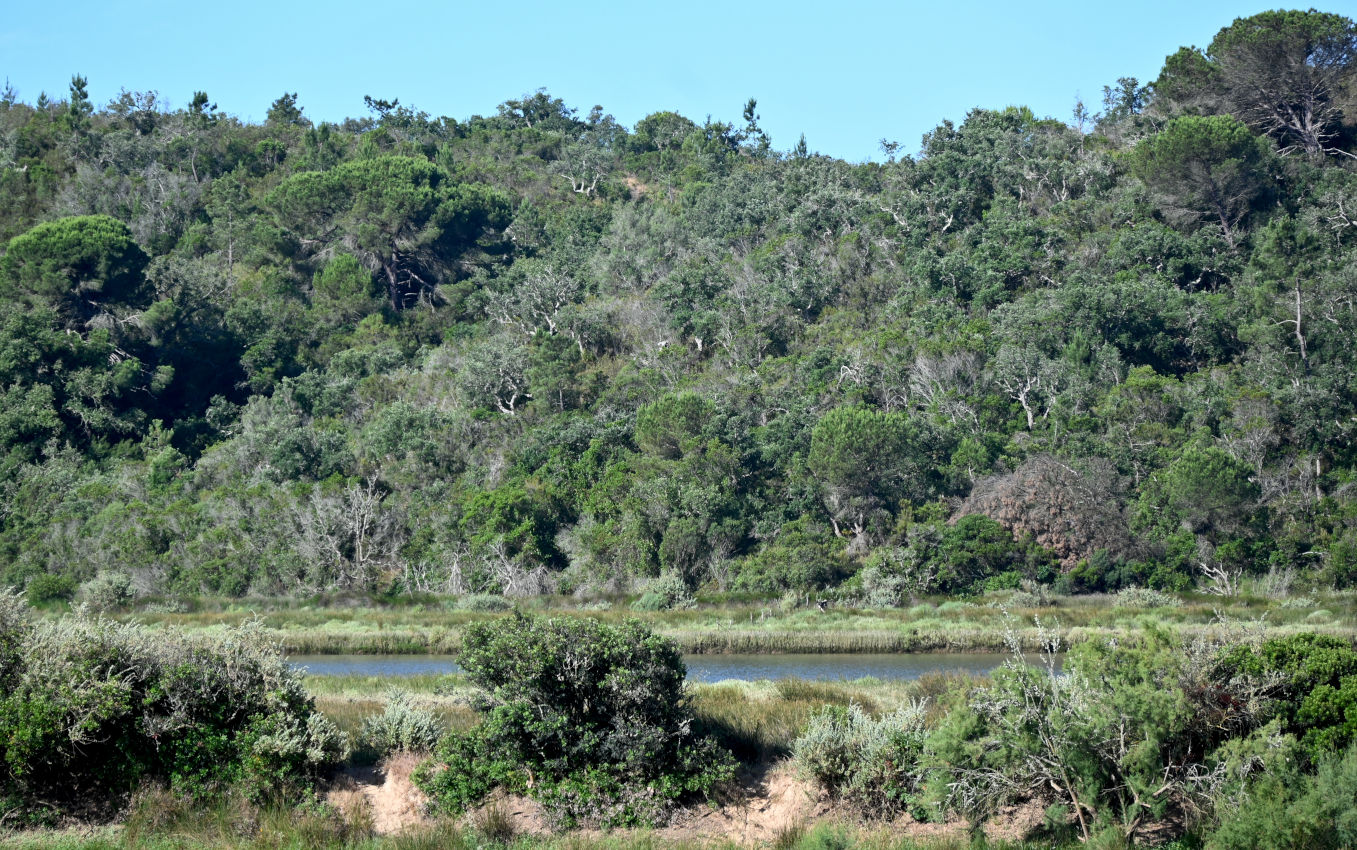 Долина реки Мира, image of landscape/habitat.