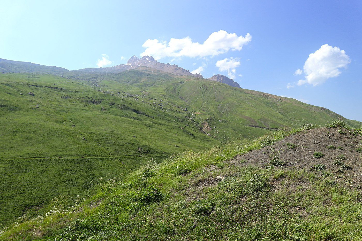 Сельды, image of landscape/habitat.