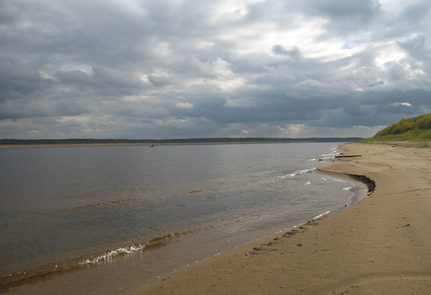 Окрестности поселка Усть-Ваеньга, image of landscape/habitat.