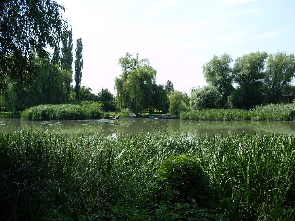 Дельта Дона, image of landscape/habitat.