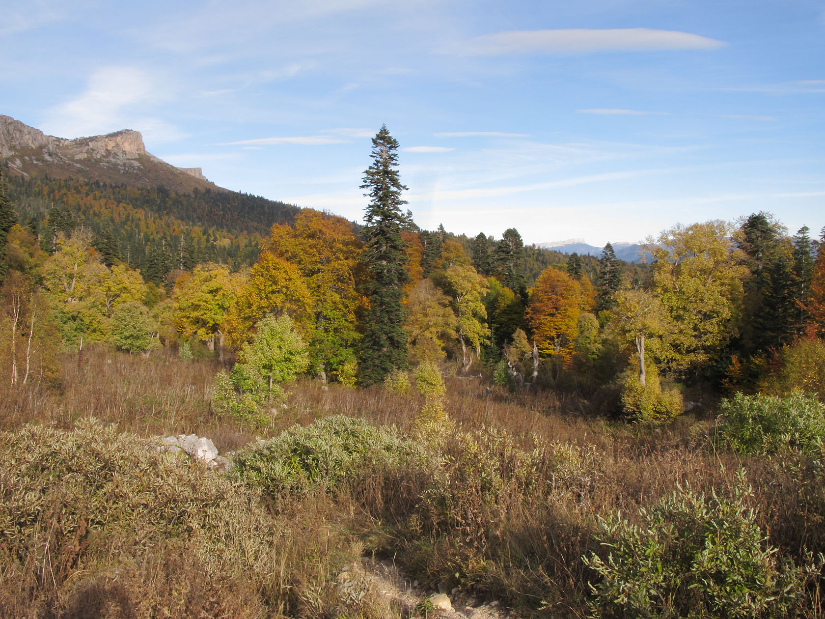 Яворова Поляна, image of landscape/habitat.