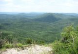 Image of landscape