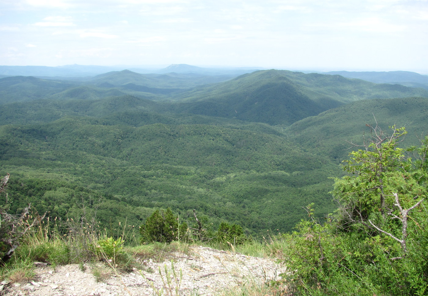 Гора Западный Папай, image of landscape/habitat.