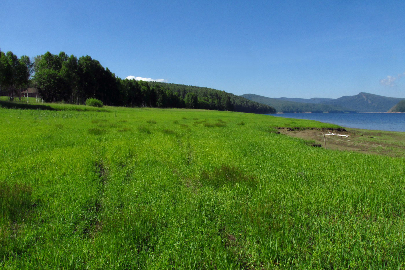 Убейский залив, image of landscape/habitat.