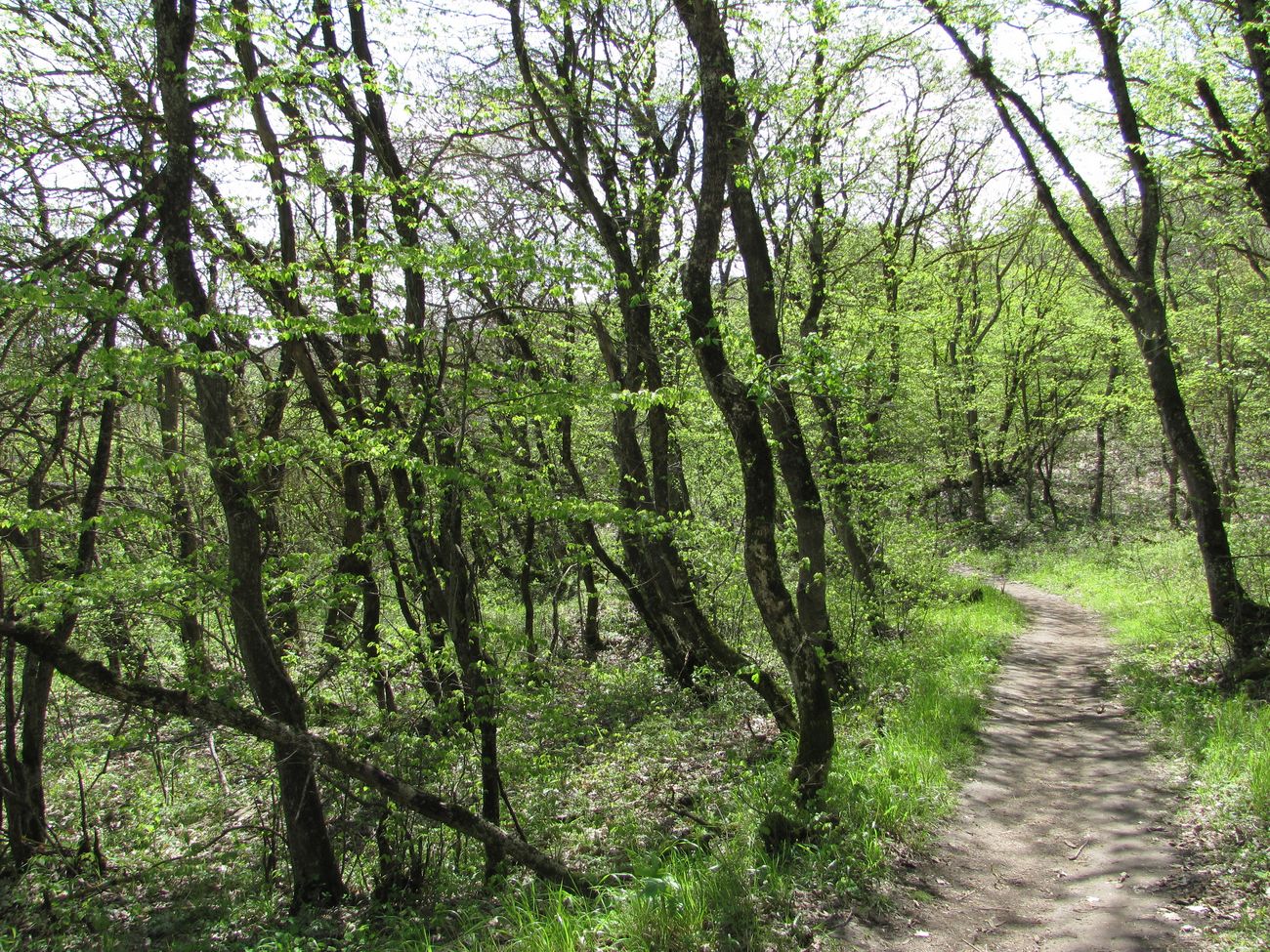 Дербент, image of landscape/habitat.