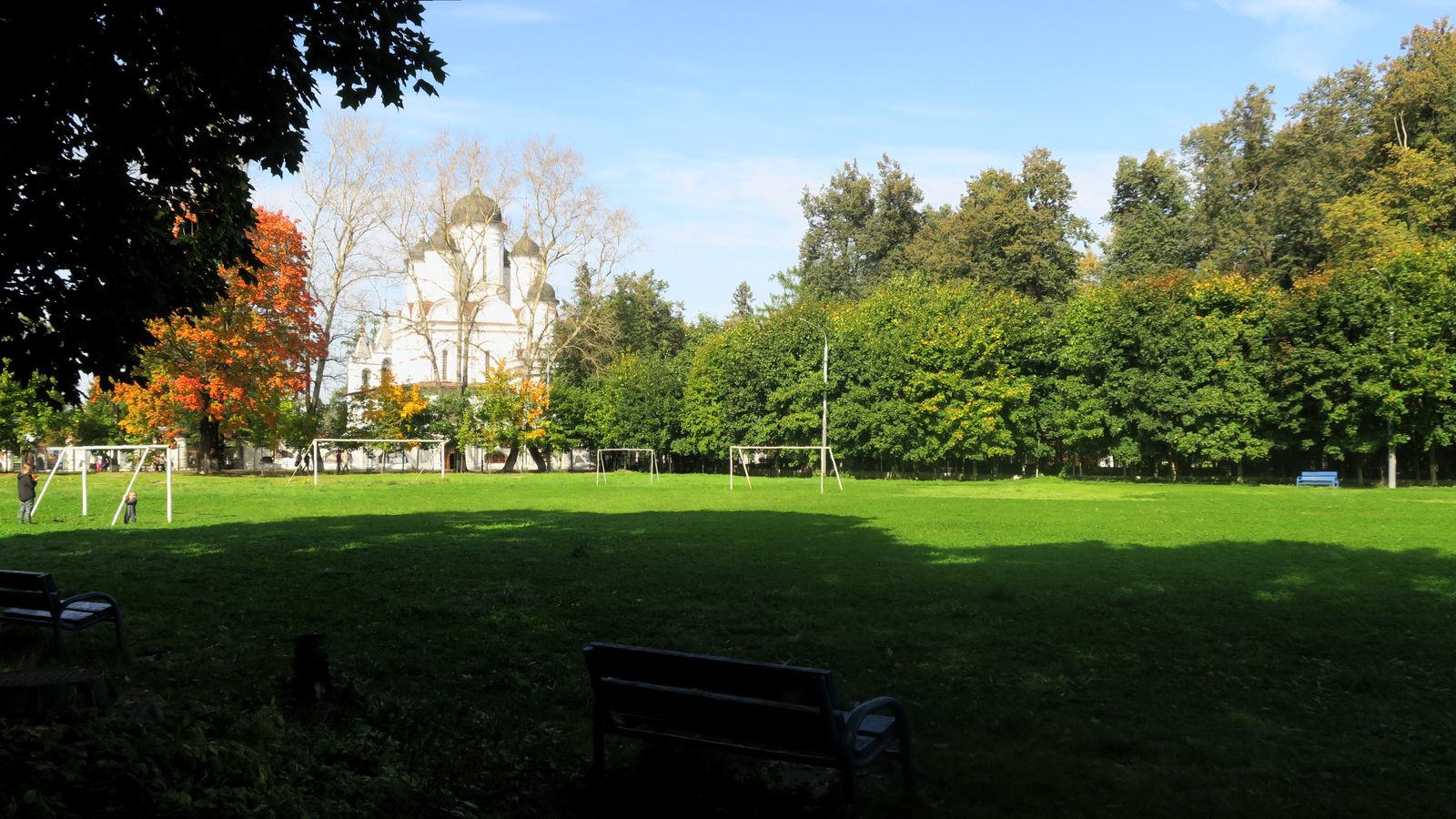Большие Вязёмы, image of landscape/habitat.