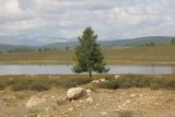 Image of landscape