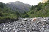 Левый приток реки Цесиахк, image of landscape/habitat.