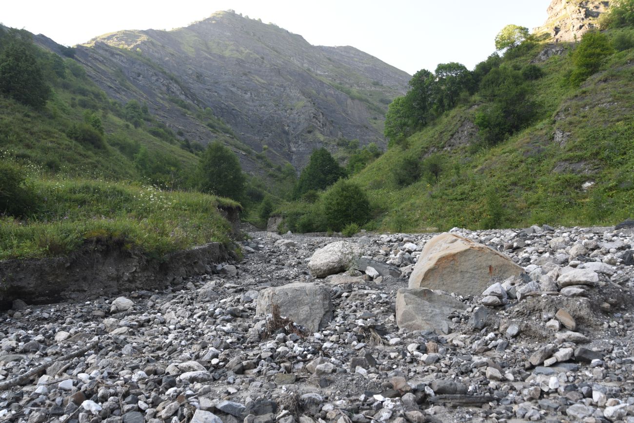 Левый приток реки Цесиахк, image of landscape/habitat.