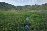 Яльчигулово и окрестности, image of landscape/habitat.