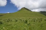 Image of landscape