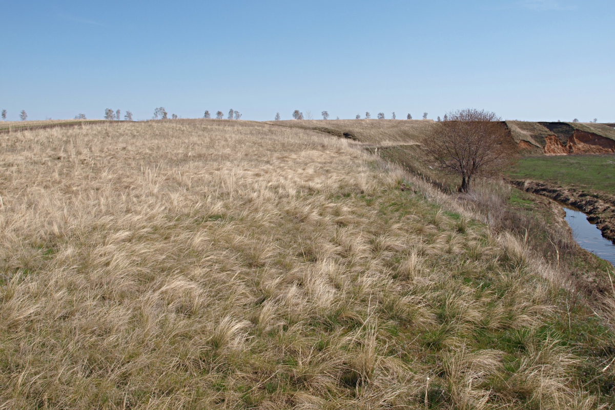 Долины рек Авраль, image of landscape/habitat.